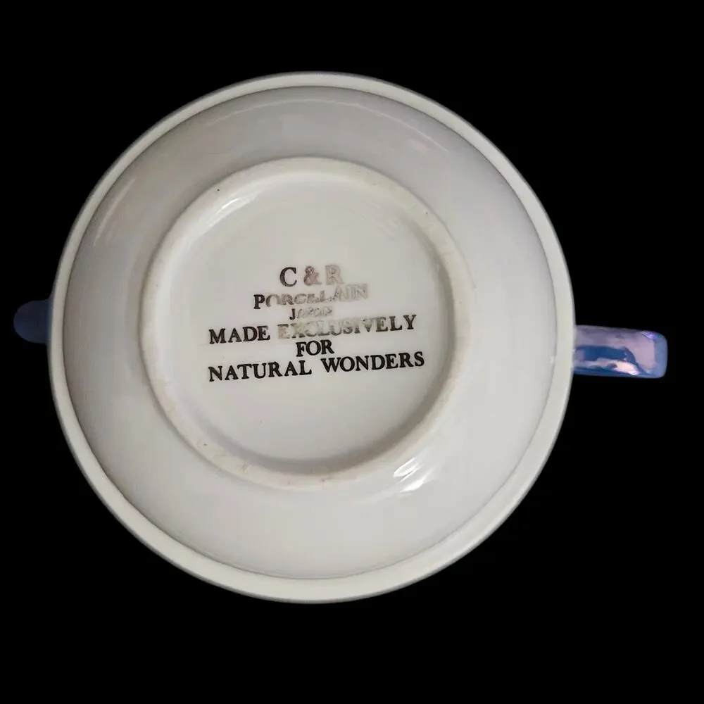 C&R Porcelain Japan Stacking Teapot Cup Blue Silver Stars Natural Wonders